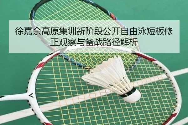 徐嘉余高原集训新阶段公开自由泳短板修正观察与备战路径解析